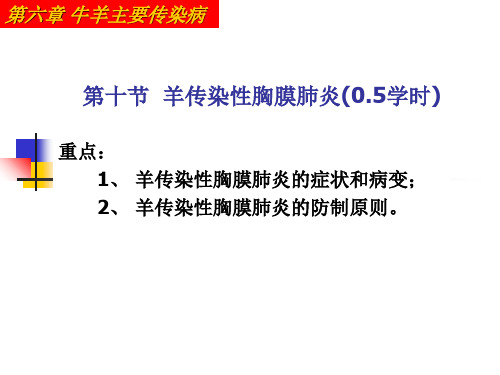 【医学ppt课件】羊传染性胸膜肺炎