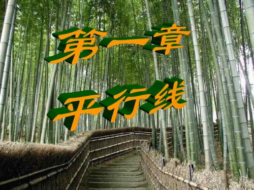 平行线--浙教版