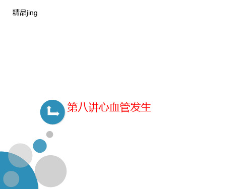 第八讲心血管发生-课件