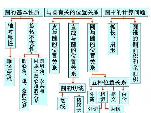期中复习圆[下学期]--华师大版(教学课件2019)