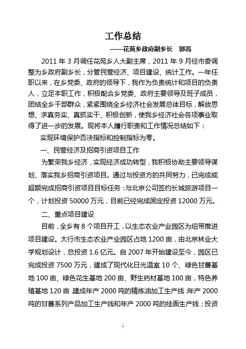 副乡长工作总结