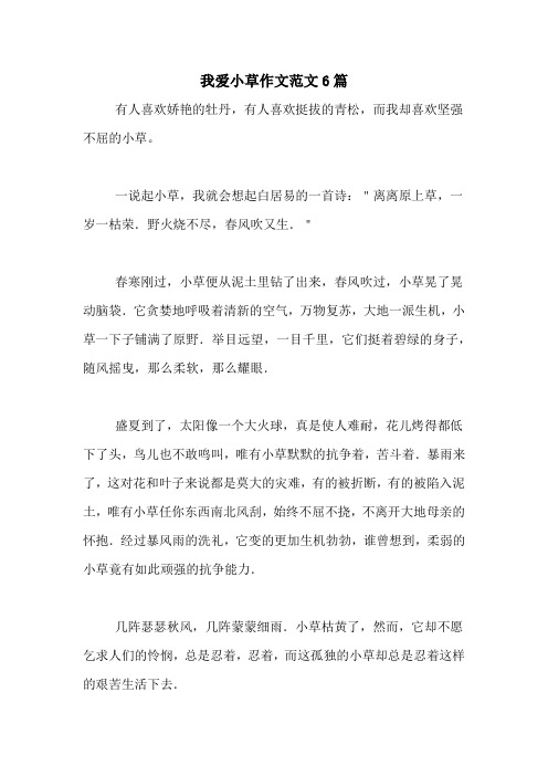 我爱小草作文范文6篇
