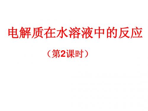 电解质在水溶液中的反应1