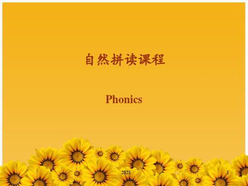 自然拼读全-册PPT课件