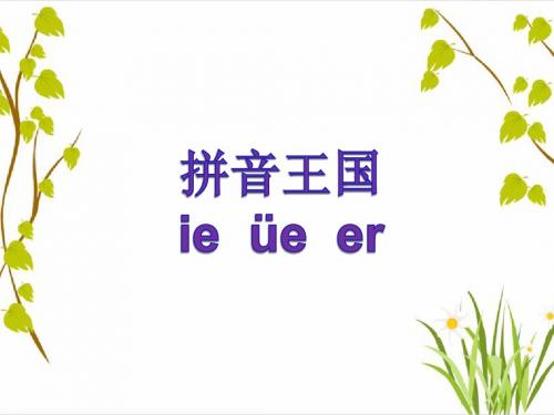 ie_ue_er_课件dqq