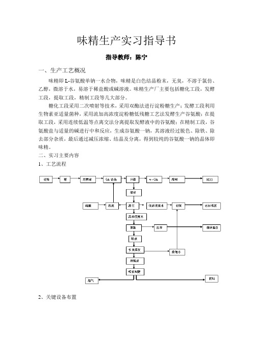味精生产实习指导书