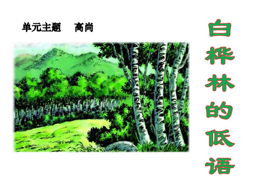 白桦林的低语优质课件PPT
