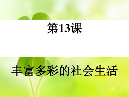 丰富多彩的社会生活ppt6