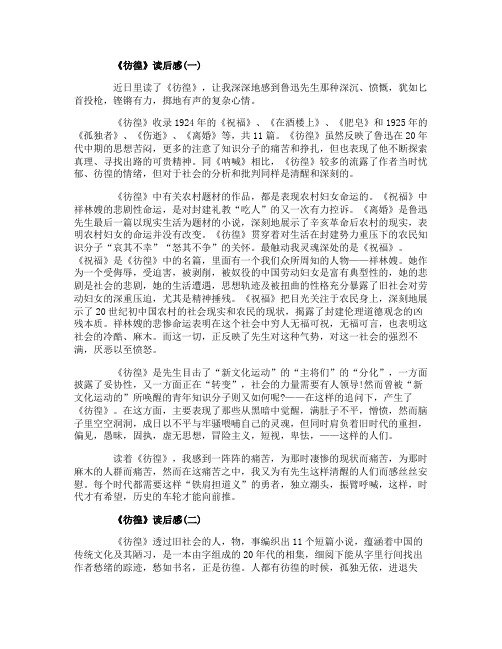 《彷徨》读后感