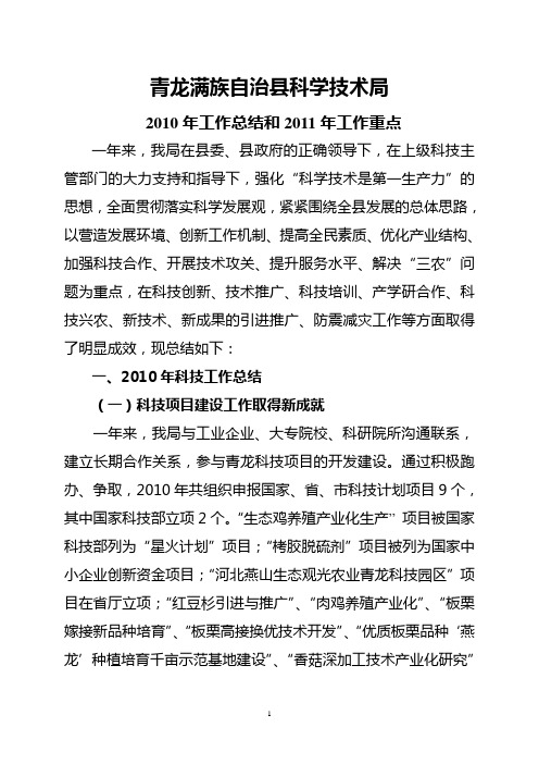 2010年工作总结科技
