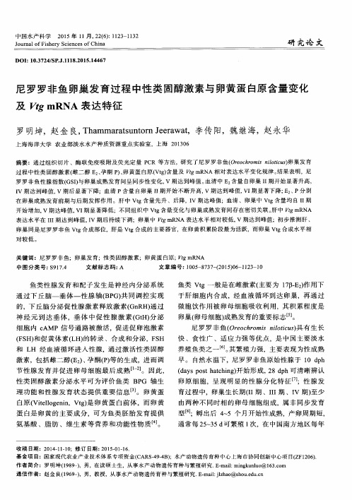 尼罗罗非鱼卵巢发育过程中性类固醇激素与卵黄蛋白原含量变化及Vtg