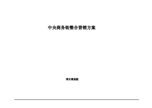 中央商业综合地产整合营销方案