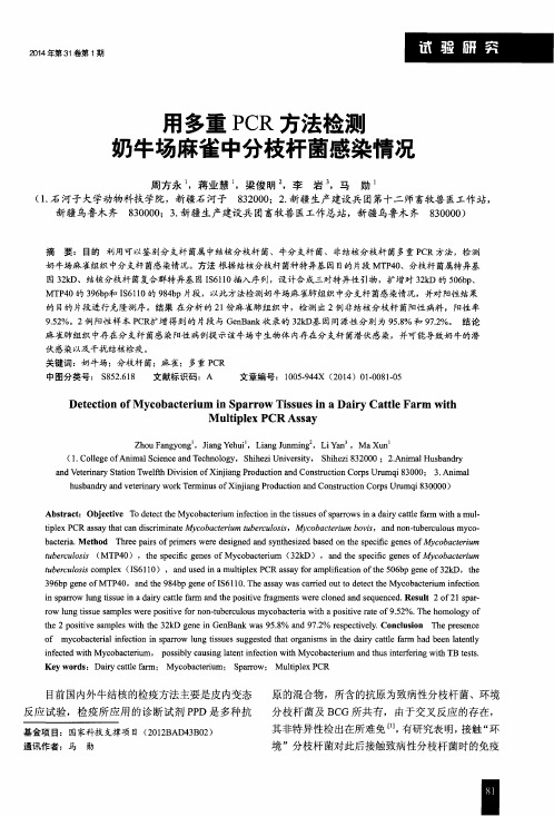 用多重PCR方法检测奶牛场麻雀中分枝杆菌感染情况