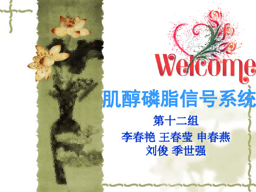 磷脂酰肌醇信号通路