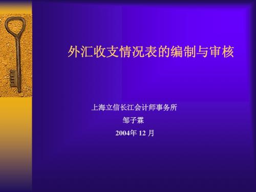外汇审计-邹子霖