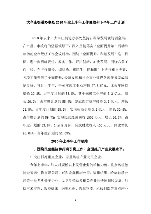 2010年度上半年工作总结和下半年工作计划[1]