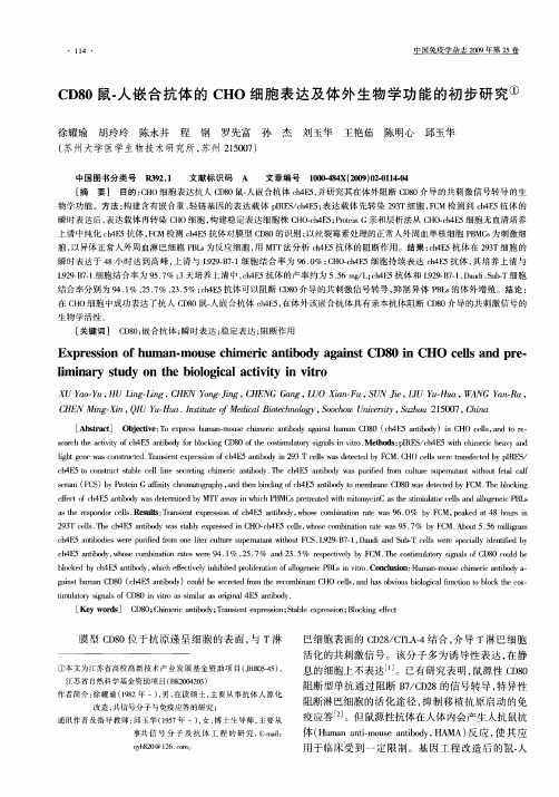 CD80鼠-人嵌合抗体的CHO细胞表达及体外生物学功能的初步研究