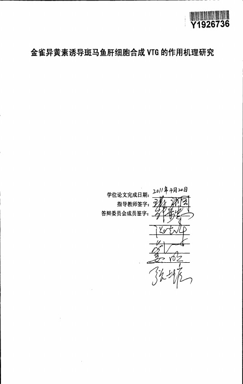 金雀异黄素诱导斑马鱼肝细胞合成VTG的作用机理研究.pdf