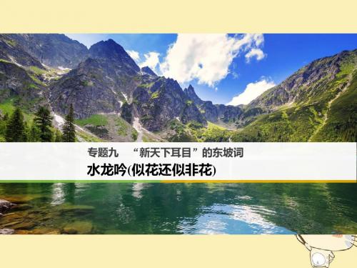“新天下耳目”的东坡词ppt9(3