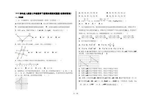 2019学年度人教版七年级数学下册期末模拟试题题(含解析答案)