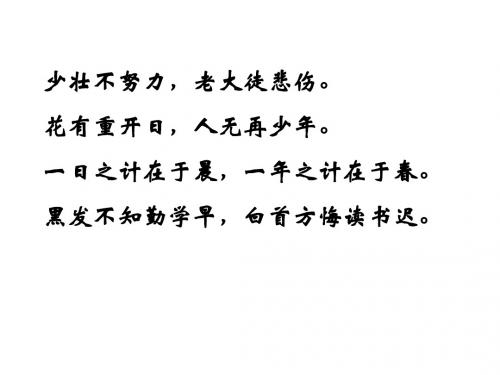 六年级语文上册《和时间赛跑》课件1长版