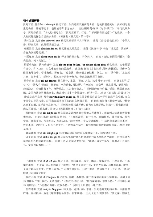 初中常见成语解释