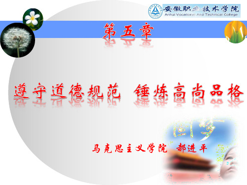 2017思修第五章PPT