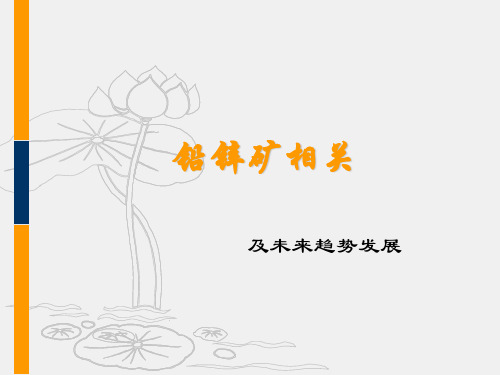 铅锌矿相关ppt课件