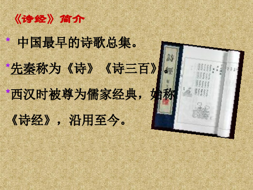 硕鼠