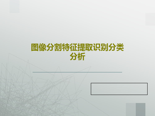 图像分割特征提取识别分类分析共75页