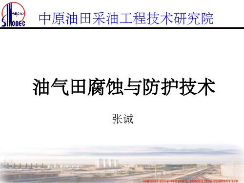 油气田气田腐蚀与防腐技术