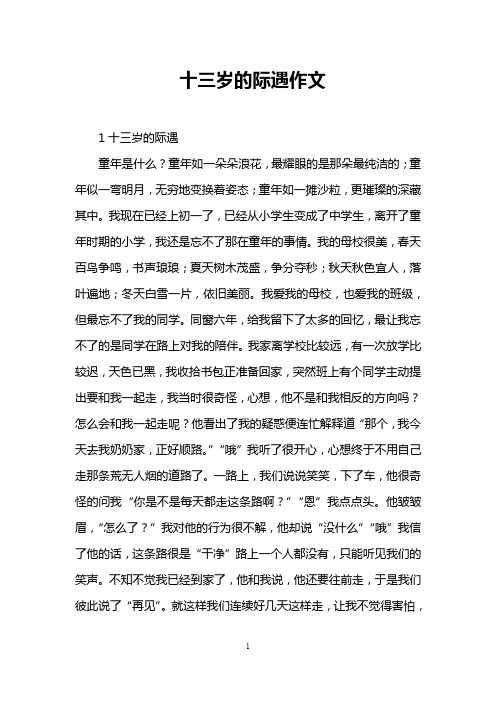 十三岁的际遇作文
