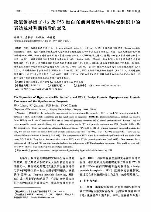 缺氧诱导因子-1α及P53蛋白在前列腺增生和癌变组织中的表达及对判断预后的意义