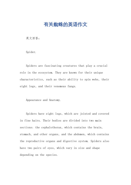 有关蜘蛛的英语作文