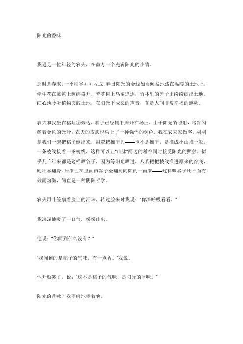 阳光的味道(林清玄)练习