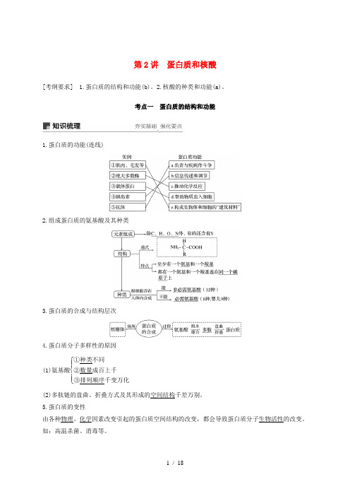 (浙江选考)2020版高考生物新导学大一轮复习 第2讲 蛋白质和核酸(含解析)讲义