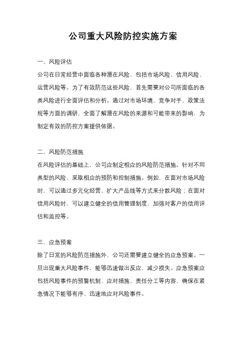公司重大风险防控实施方案