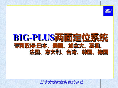 BIG-PLUS两面定位系统