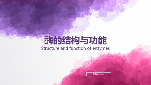 酶的结构与功能