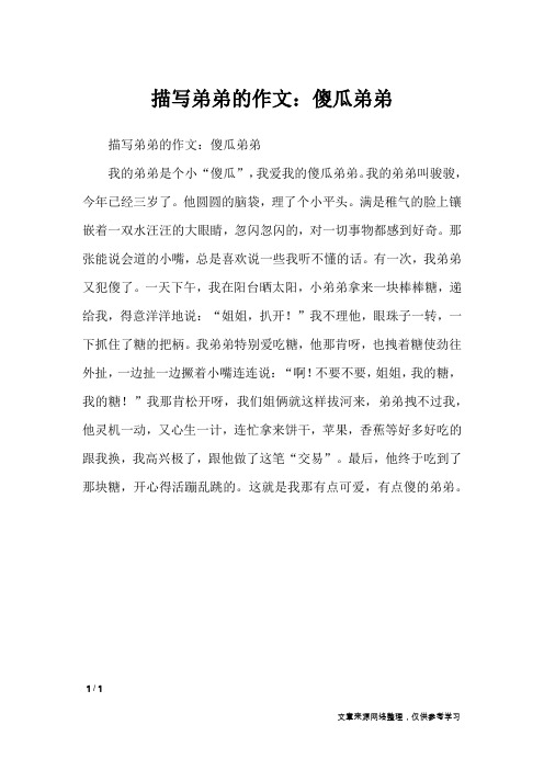 描写弟弟的作文：傻瓜弟弟_写人作文