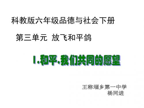 和平、我们共同的愿望
