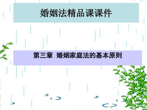 婚姻法精品课课件  第三章  婚姻家庭法的基本原则