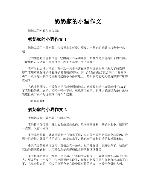 奶奶家的小猫作文