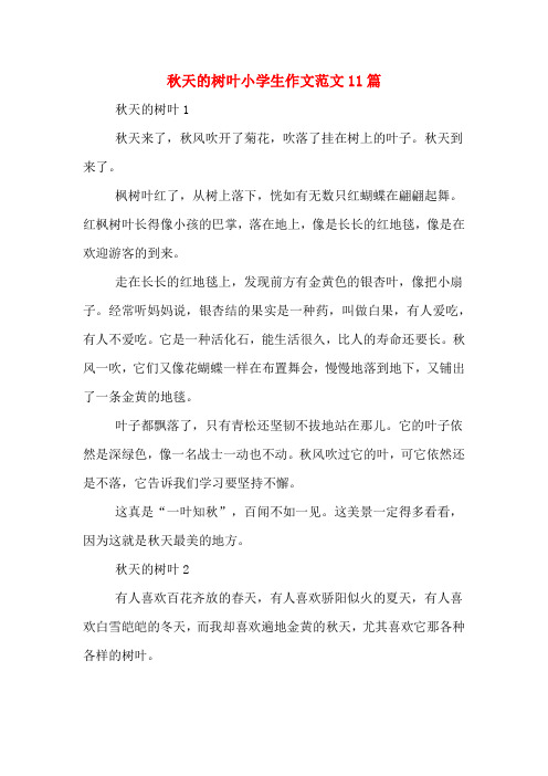 秋天的树叶小学生作文范文11篇