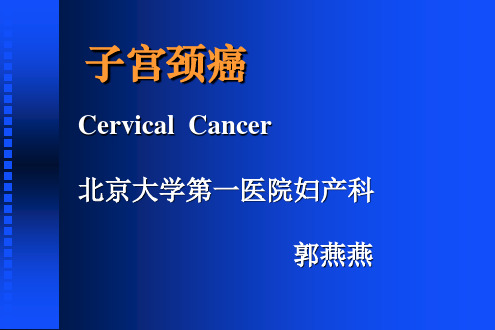 子宫颈癌PPT课件