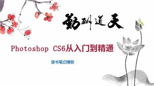 Photoshop CS6从入门到精通