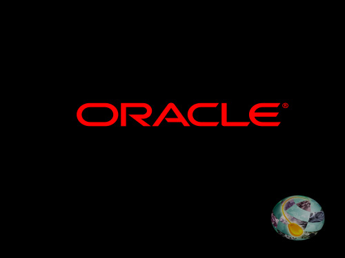 Oracle人力资源管理方案