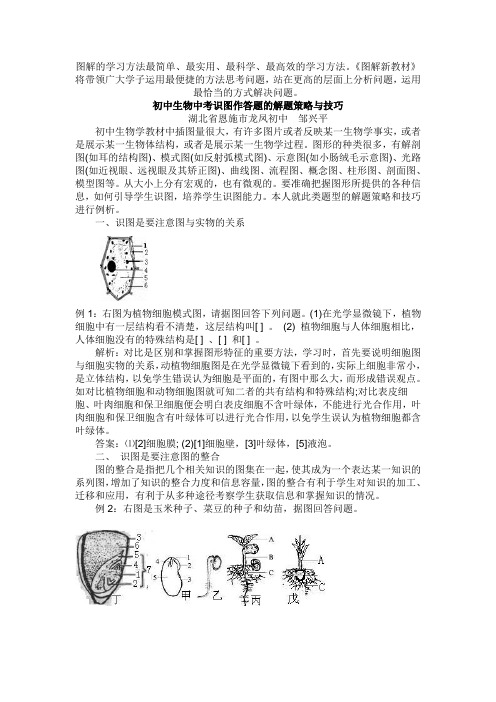 初中生物中考识图作答题的解题策略与技巧