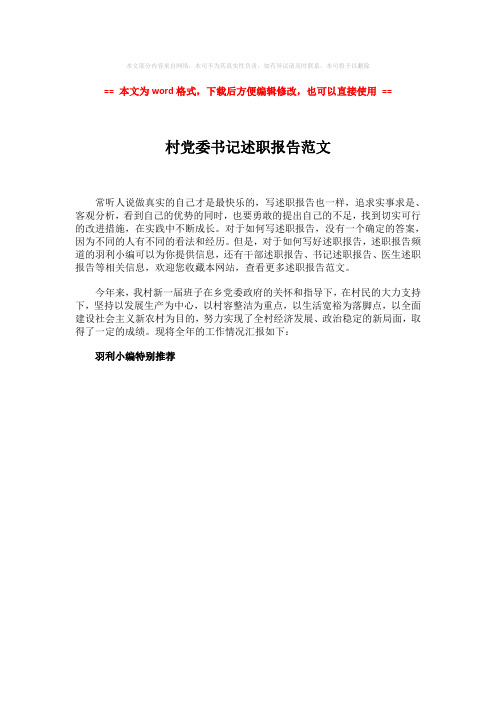 2018年村党委书记述职报告范文-word范文 (1页)