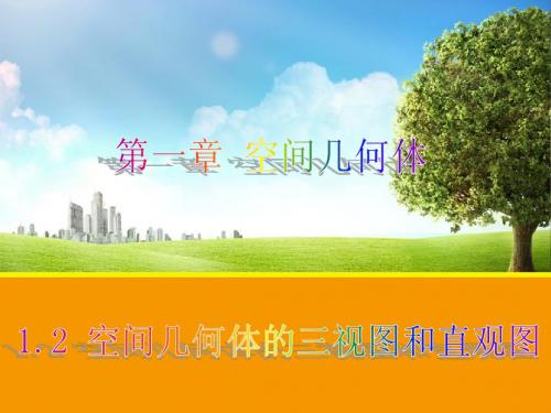 空间几何体的三视图和直观图